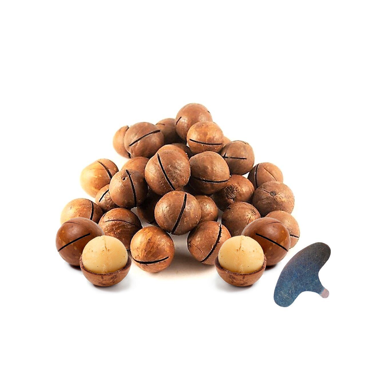 Орехи в скорлупе купить москва